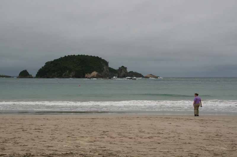 Nieuw-Zeeland 2011 - 0476